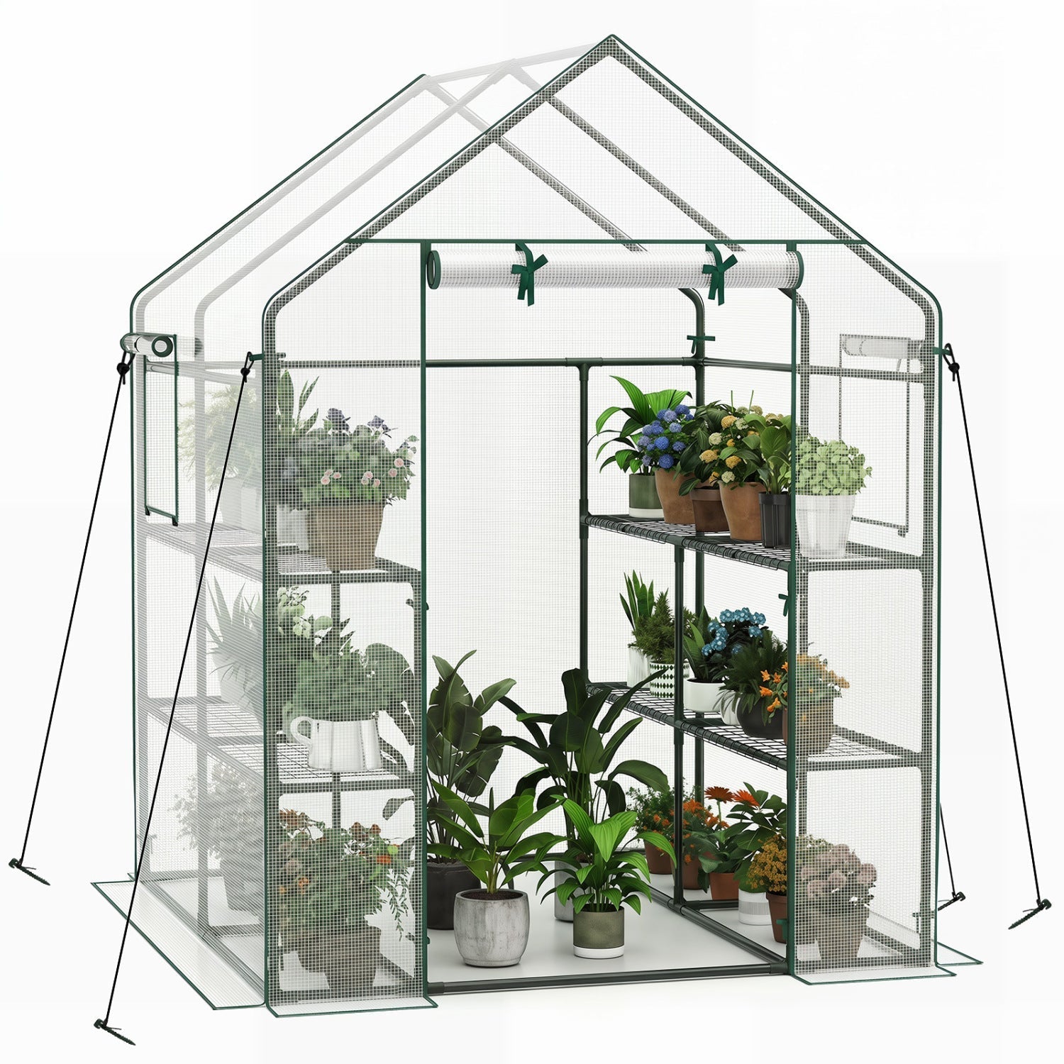 Walk-In Greenhouse 56x56x77 Inch with Observation Windows