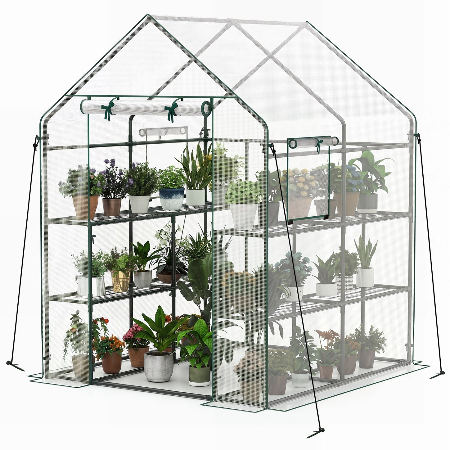 Walk-In Greenhouse 56x56x77 Inch with Observation Windows
