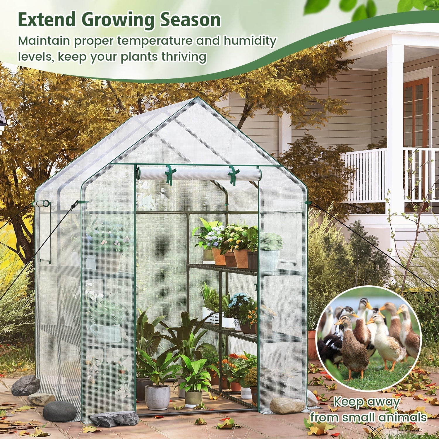 Walk-In Greenhouse 56x56x77 Inch with Observation Windows
