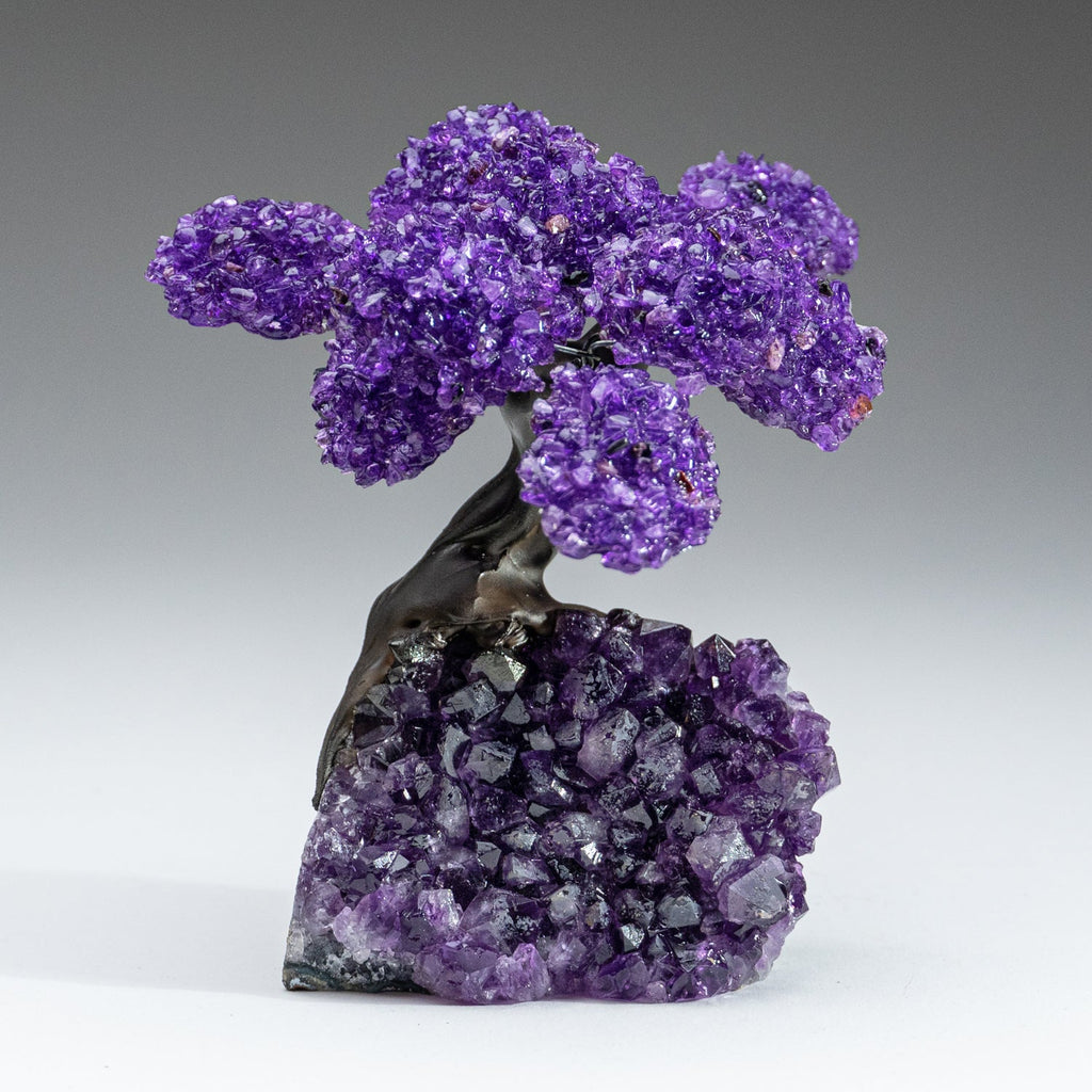 The Protection Tree (Medium) - Amethyst Clustered Gemstone Tree on Amethyst Matrix