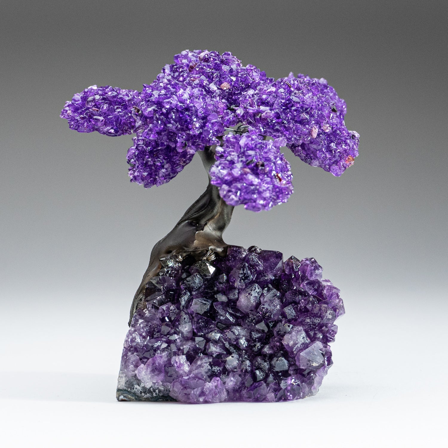 The Protection Tree (Medium) - Amethyst Clustered Gemstone Tree on Amethyst Matrix