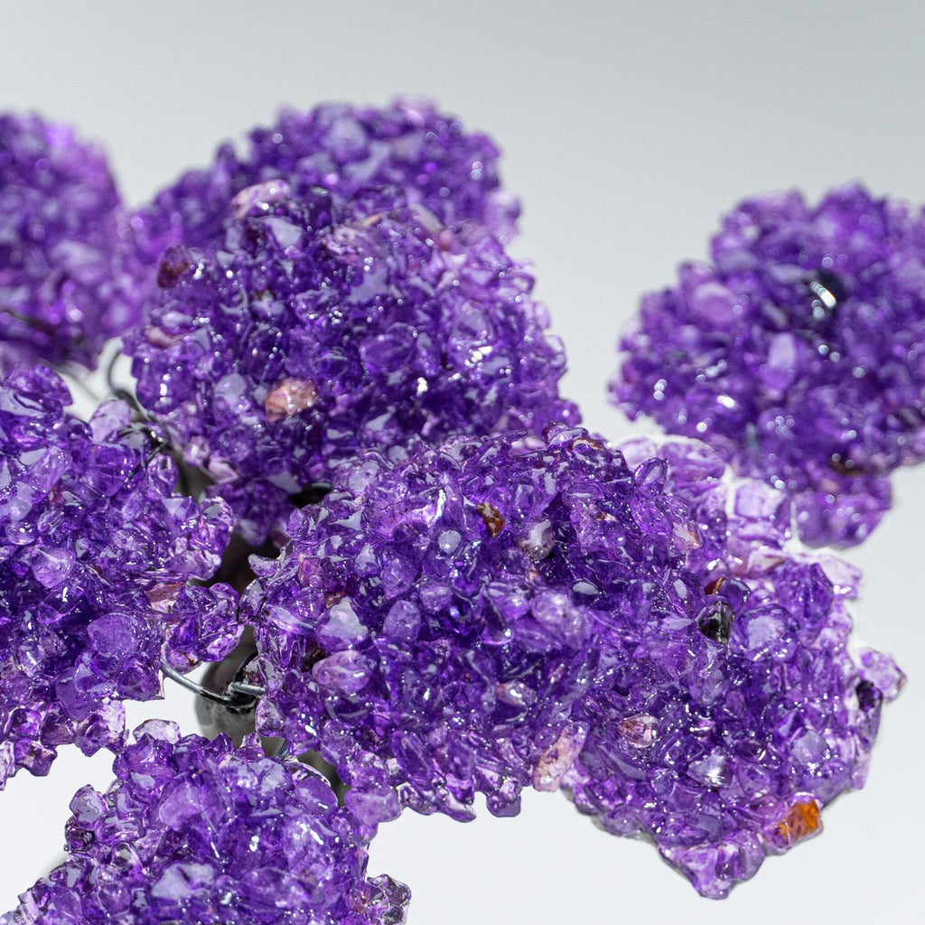 The Protection Tree (Medium) - Amethyst Clustered Gemstone Tree on Amethyst Matrix