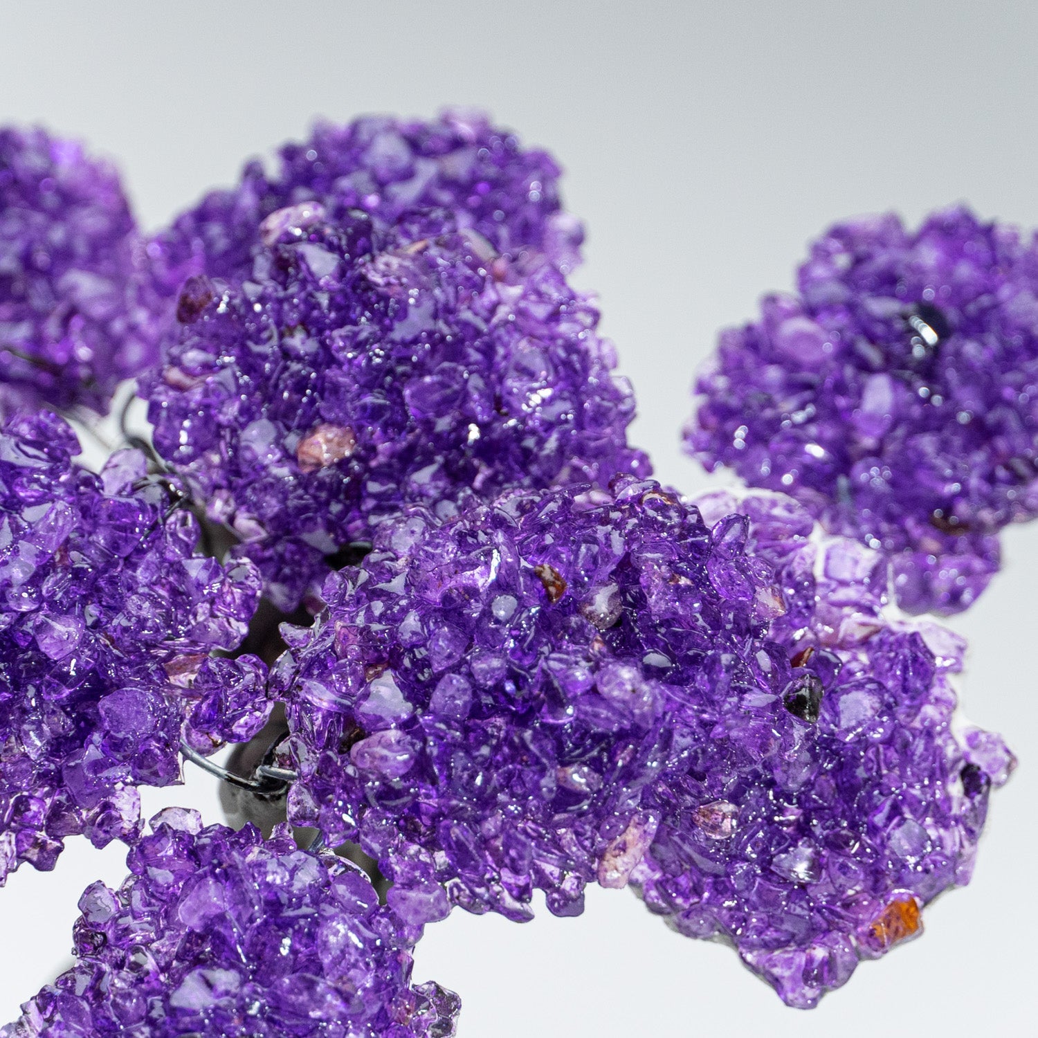The Protection Tree (Medium) - Amethyst Clustered Gemstone Tree on Amethyst Matrix