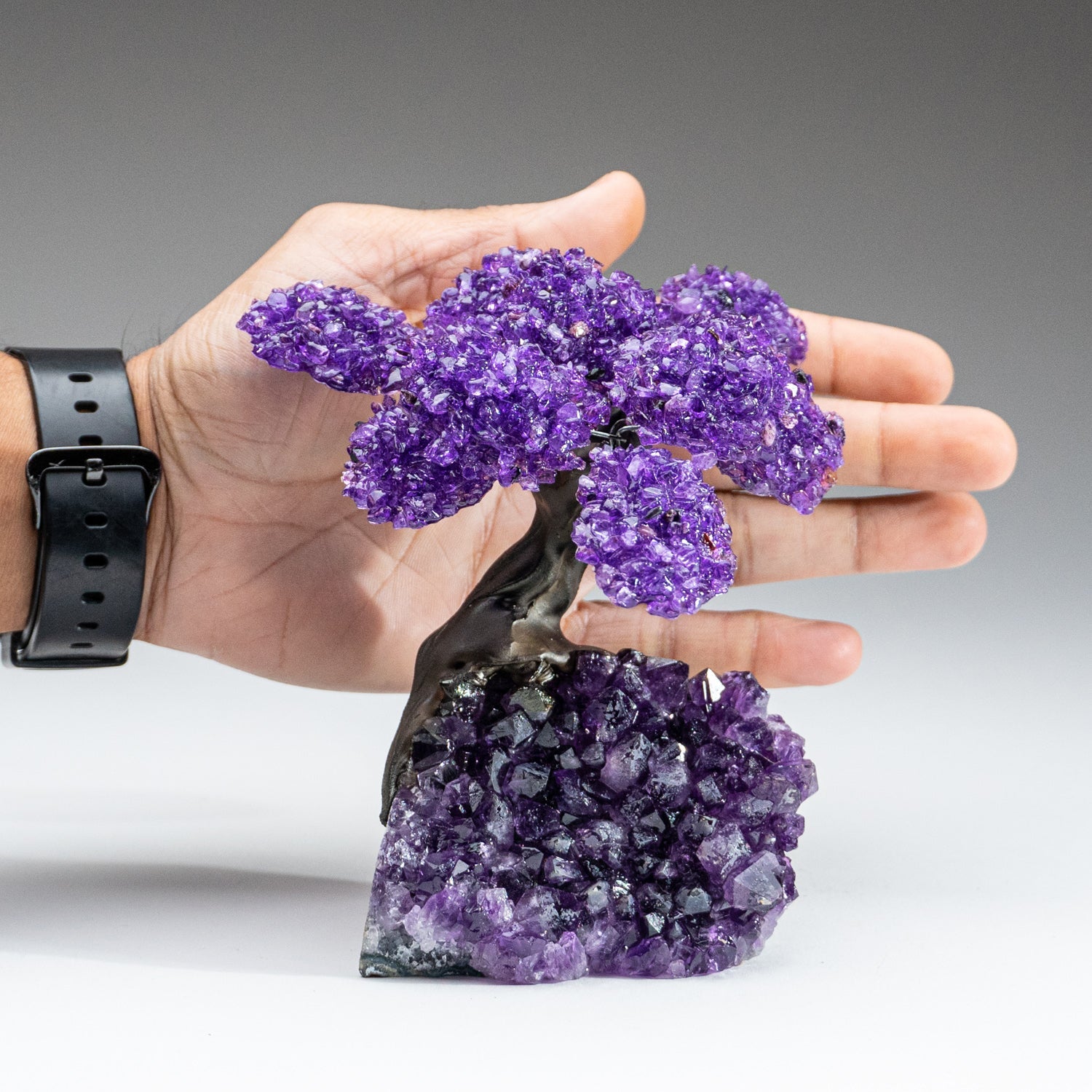 The Protection Tree (Medium) - Amethyst Clustered Gemstone Tree on Amethyst Matrix